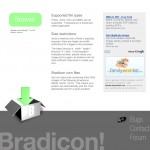 bradicon002