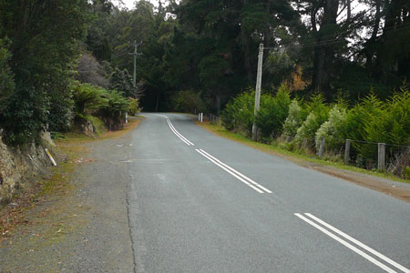 Road to Fern Tree Road to Fern Tree